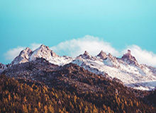 JDG.行天：小寒真的已经可以了今天带病上场